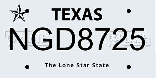 NGD8725 Texas License Plate