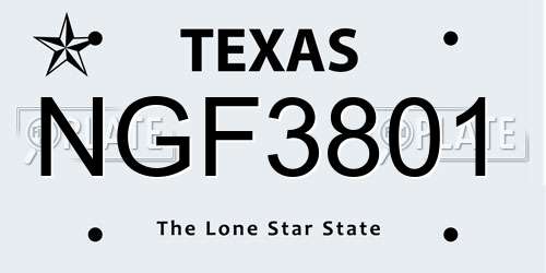 NGF3801 Texas License Plate