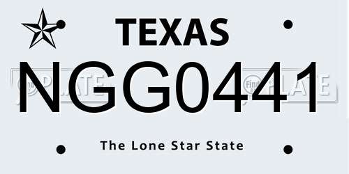 NGG0441 Texas License Plate