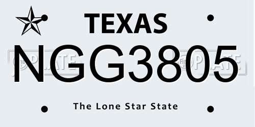 NGG3805 Texas License Plate