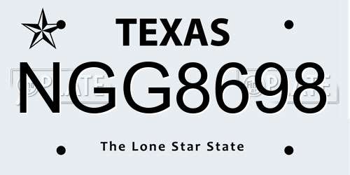 NGG8698 Texas License Plate