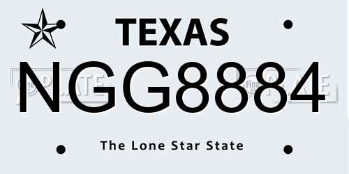 NGG8884 Texas License Plate