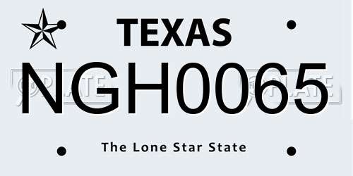 NGH0065 Texas License Plate