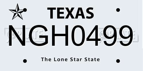NGH0499 Texas License Plate