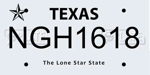 NGH1618 Texas License Plate