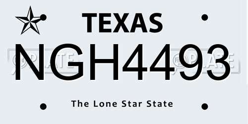 NGH4493 Texas License Plate