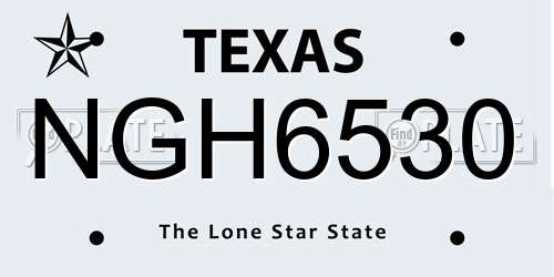 NGH6530 Texas License Plate