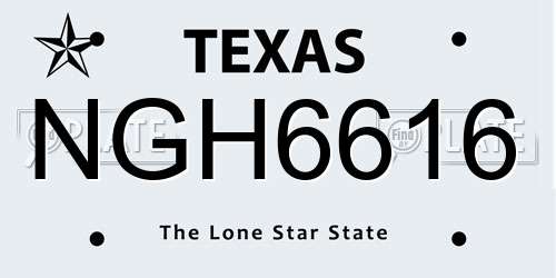 NGH6616 Texas License Plate