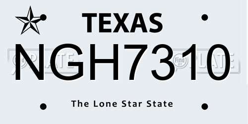 NGH7310 Texas License Plate