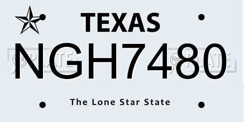 NGH7480 Texas License Plate