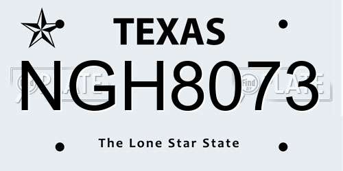 NGH8073 Texas License Plate