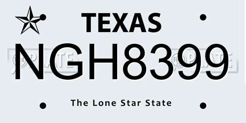 NGH8399 Texas License Plate