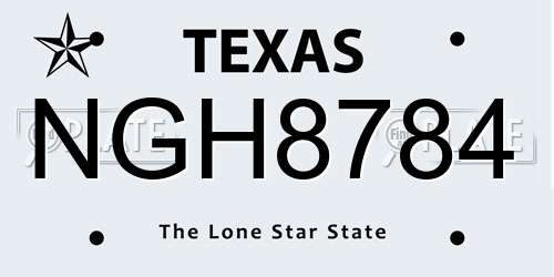 NGH8784 Texas License Plate