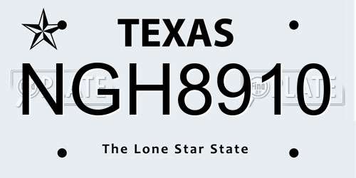 NGH8910 Texas License Plate