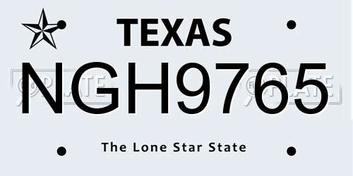 NGH9765 Texas License Plate