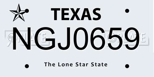 NGJ0659 Texas License Plate
