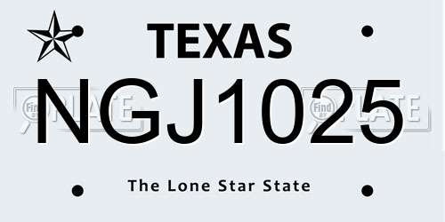 NGJ1025 Texas License Plate