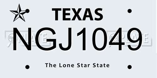 NGJ1049 Texas License Plate