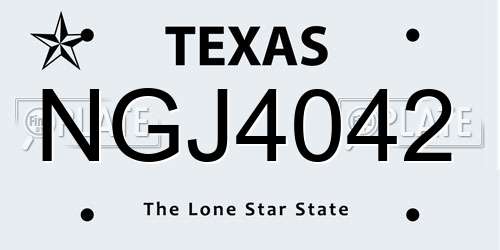 NGJ4042 Texas License Plate