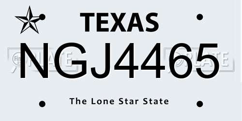 NGJ4465 Texas License Plate