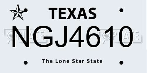 NGJ4610 Texas License Plate