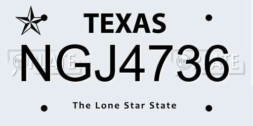 NGJ4736 Texas License Plate