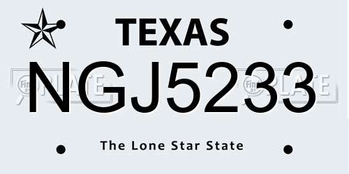 NGJ5233 Texas License Plate