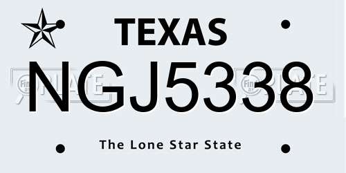 NGJ5338 Texas License Plate