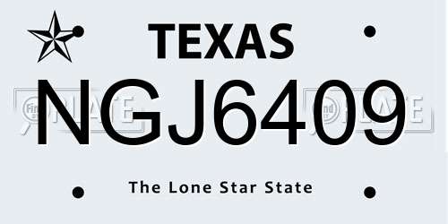 NGJ6409 Texas License Plate