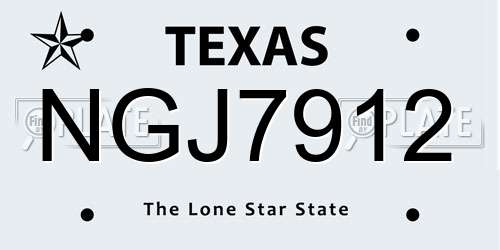 NGJ7912 Texas License Plate
