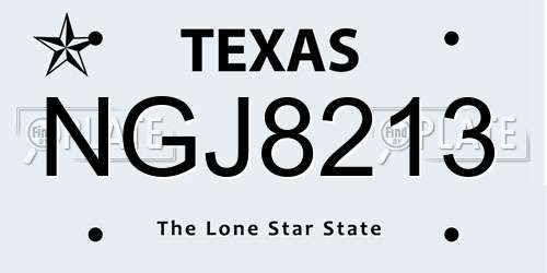 NGJ8213 Texas License Plate
