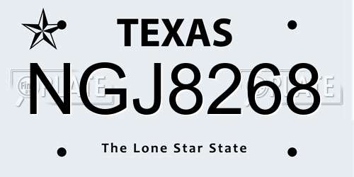 NGJ8268 Texas License Plate
