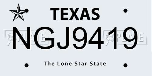 NGJ9419 Texas License Plate