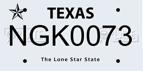 NGK0073 Texas License Plate
