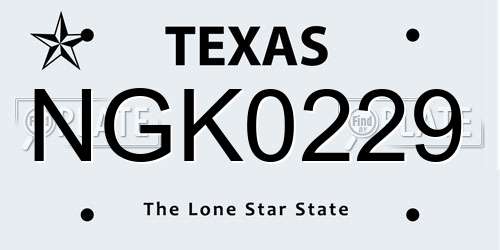NGK0229 Texas License Plate