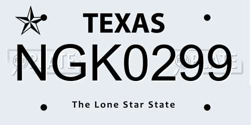 NGK0299 Texas License Plate