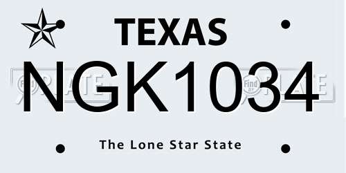 NGK1034 Texas License Plate