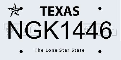 NGK1446 Texas License Plate