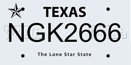 NGK2666 Texas License Plate