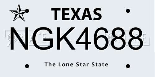 NGK4688 Texas License Plate