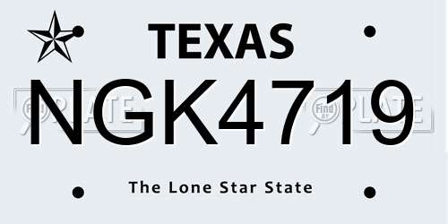 NGK4719 Texas License Plate
