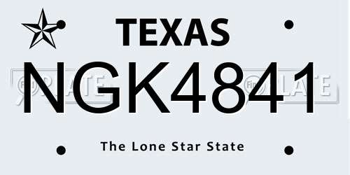 NGK4841 Texas License Plate