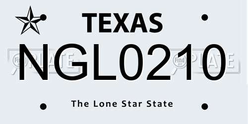 NGL0210 Texas License Plate
