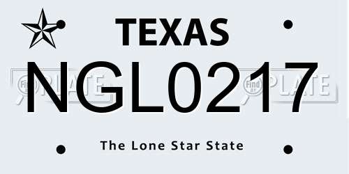 NGL0217 Texas License Plate