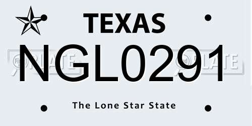 NGL0291 Texas License Plate