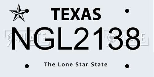 NGL2138 Texas License Plate