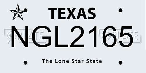 NGL2165 Texas License Plate