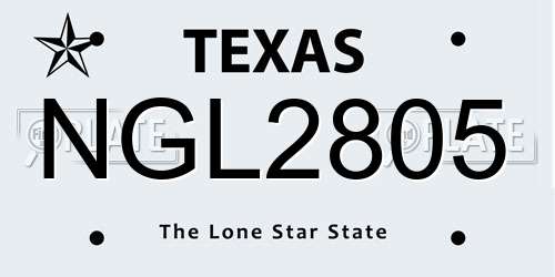 NGL2805 Texas License Plate