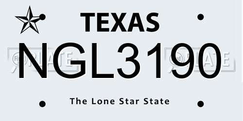 NGL3190 Texas License Plate