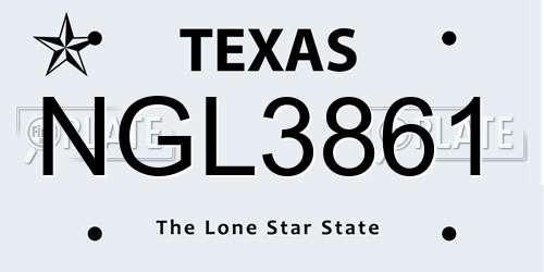 NGL3861 Texas License Plate